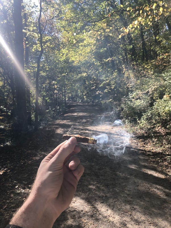 How to Hit a Blunt: Complete Guide | DC Cannabis Dispensary